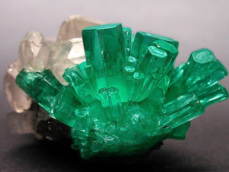 The emerald emulates the natural world, revitalizes and empowers