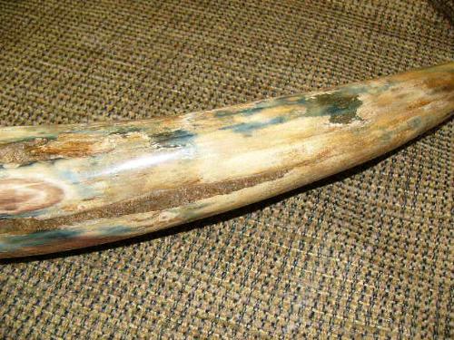 Walrus Tusk Ivory is Wisdom of the Heart - Angela Blessing Jewelry Designs