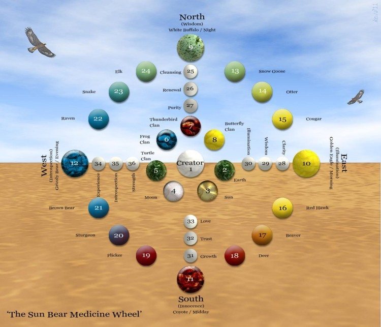 The Medicine when is powerful as a teaching tool, easily adapted to illustrate and differentiate different aspects on the same wheel.