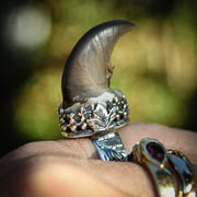 Angela Blessing Jewelry- bear claw ring modelled
